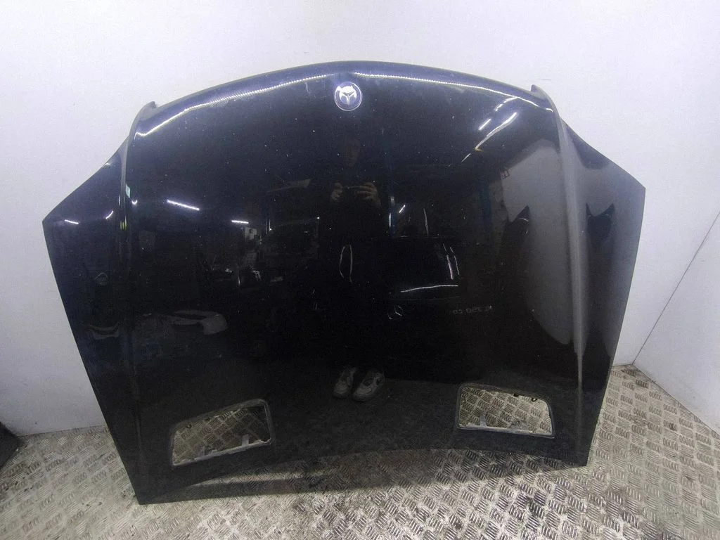 Engine bonnet/hood