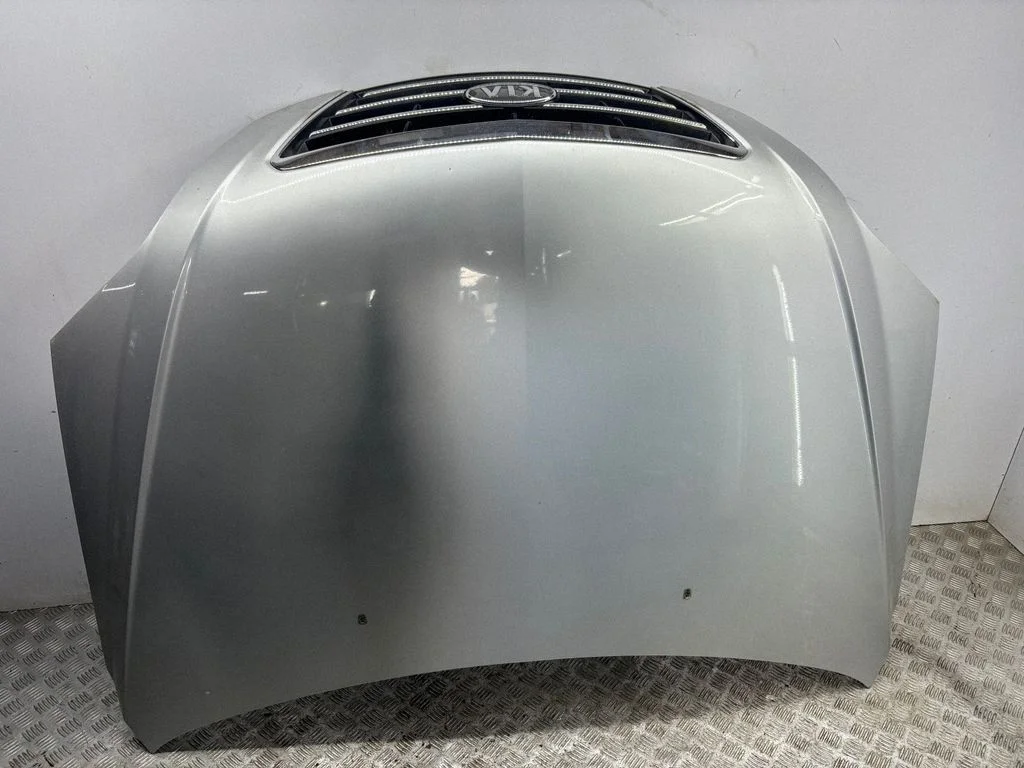 Engine bonnet/hood