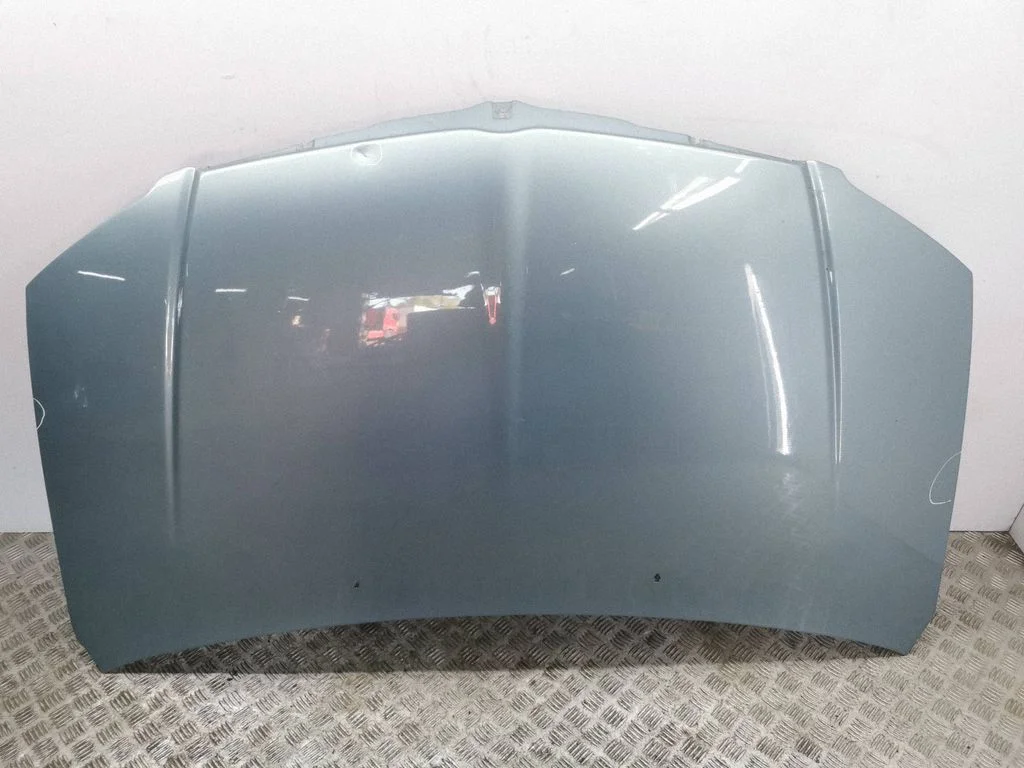 Engine bonnet/hood