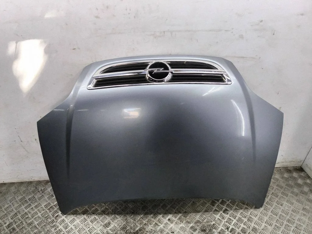Engine bonnet/hood