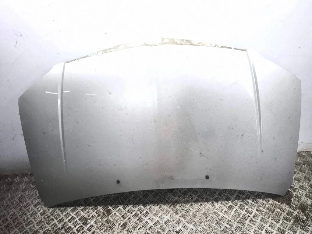 Engine bonnet/hood