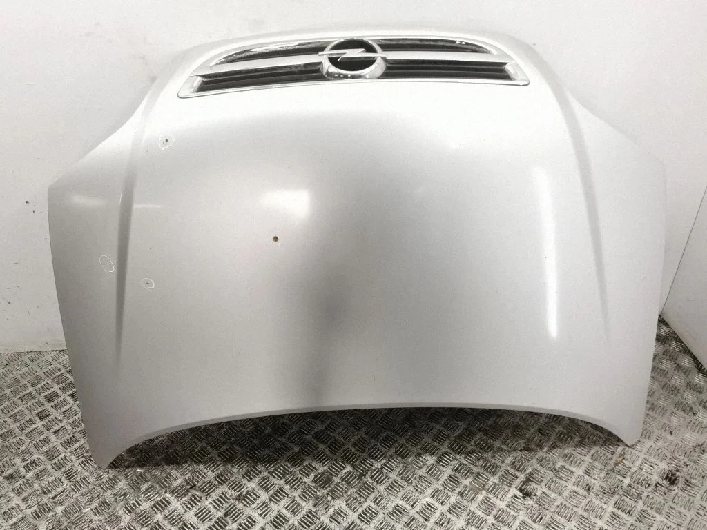 Engine bonnet/hood