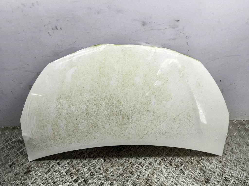 Engine bonnet/hood