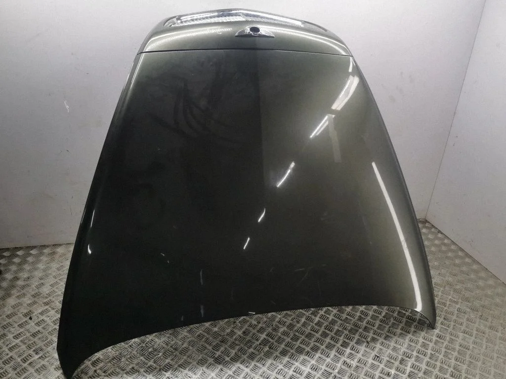 Motora pārsegs 3W0010470T