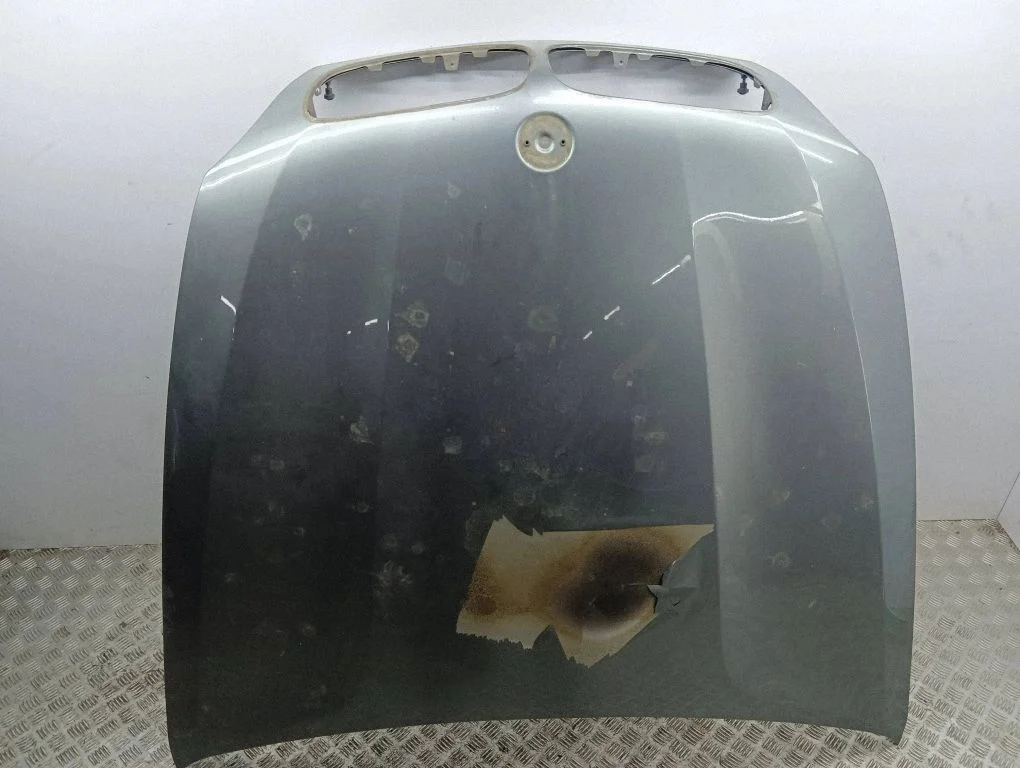 Engine bonnet/hood