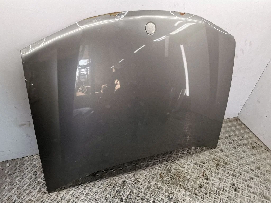 Engine bonnet/hood