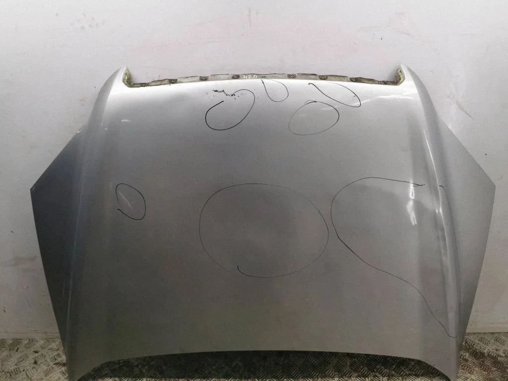 Engine bonnet/hood