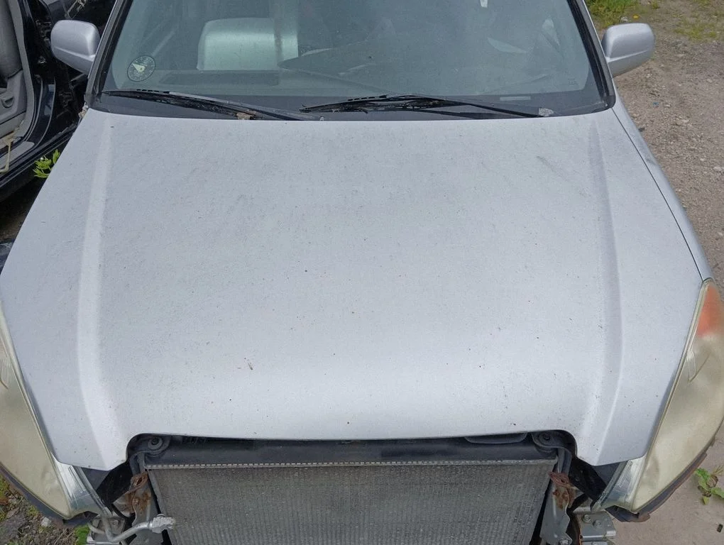 Engine bonnet/hood