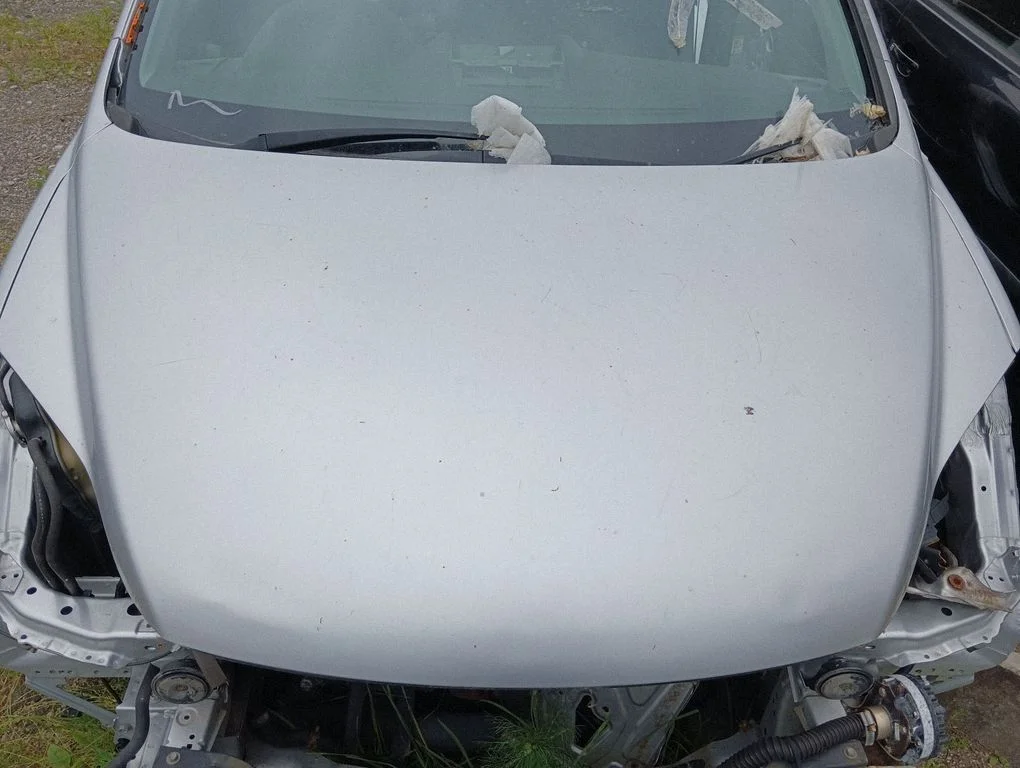 Engine bonnet/hood