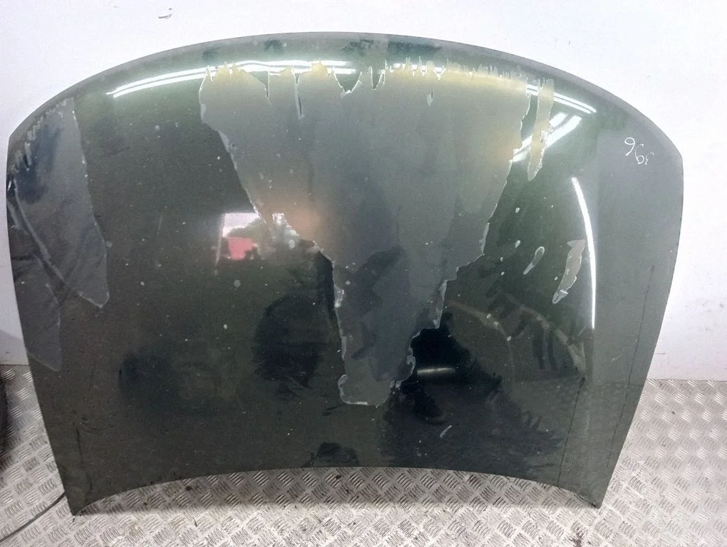 Engine bonnet/hood