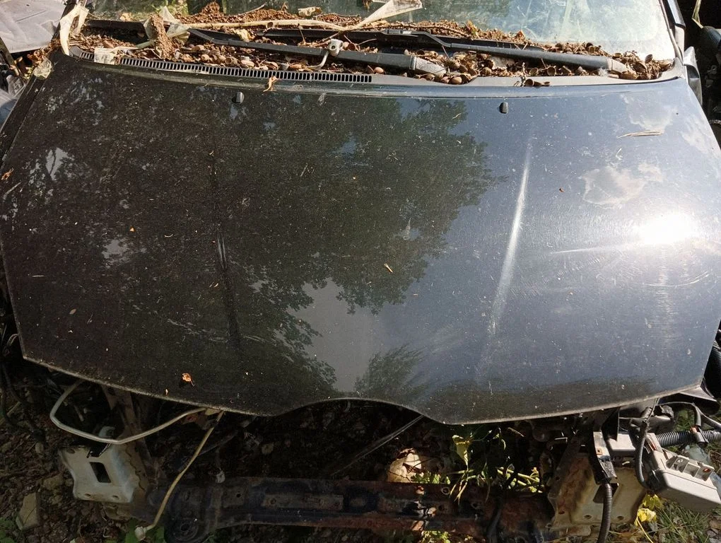 Engine bonnet/hood
