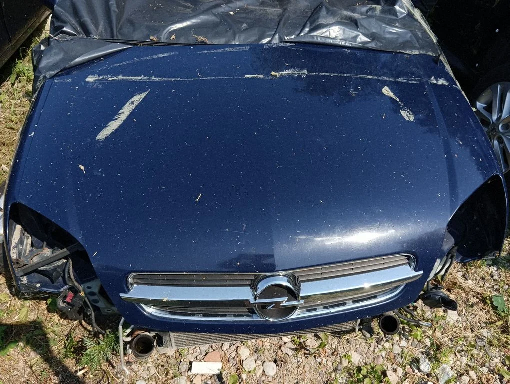 Engine bonnet/hood