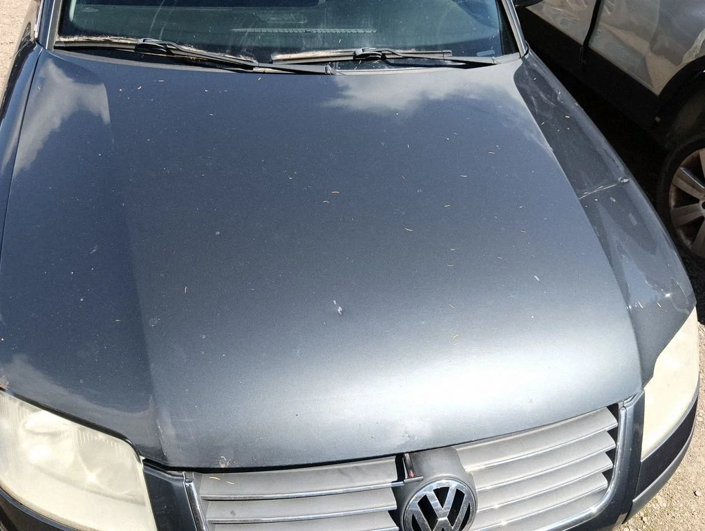 Engine bonnet/hood