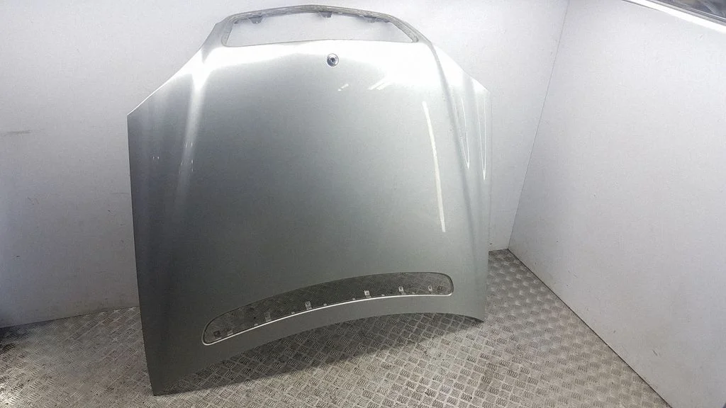 Engine bonnet/hood