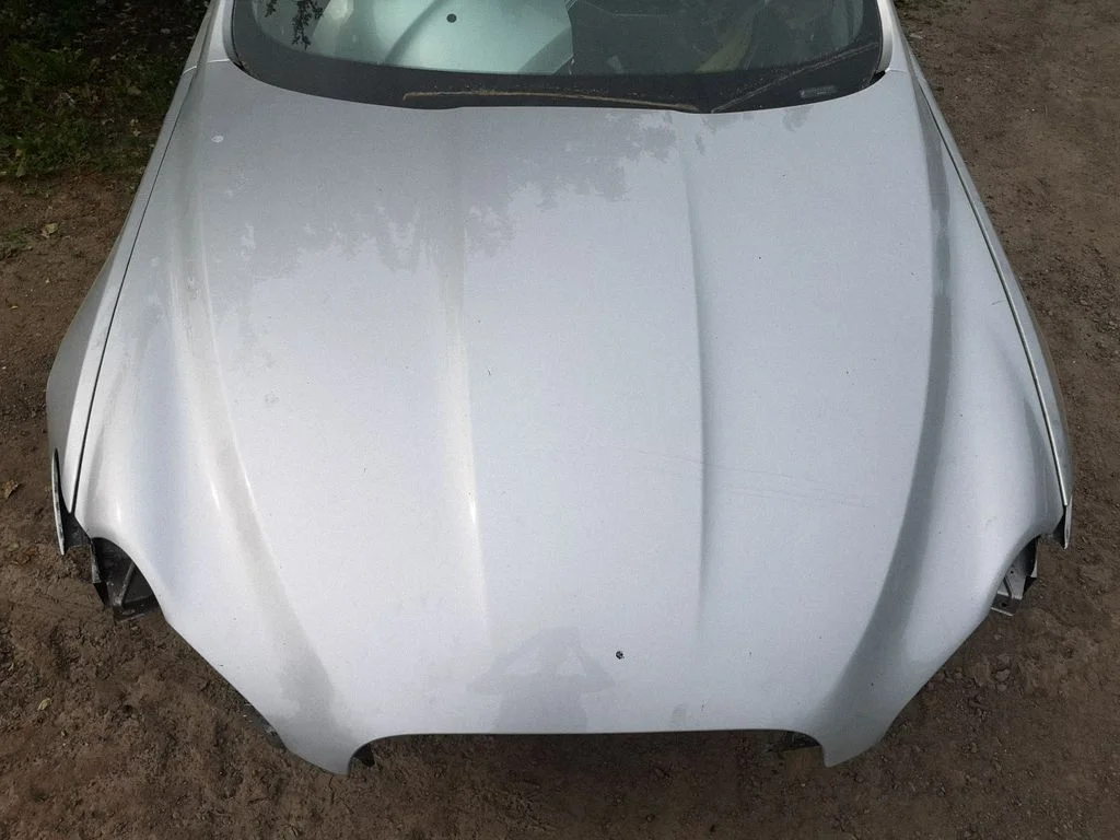 Engine bonnet/hood