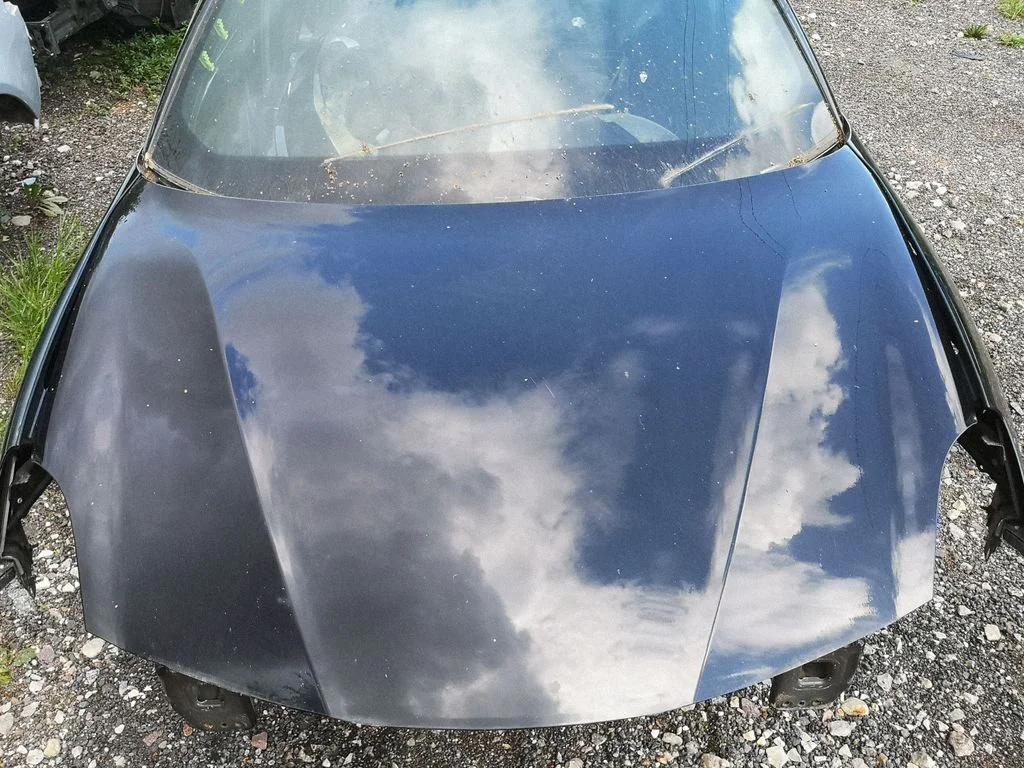 Engine bonnet/hood
