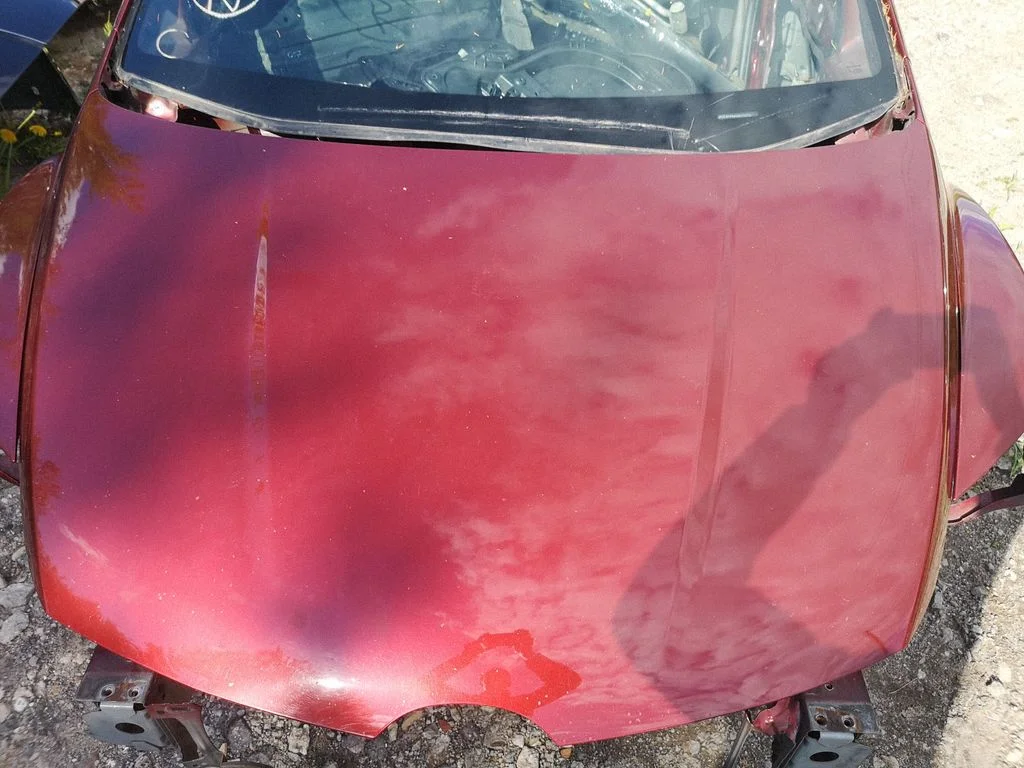Engine bonnet/hood