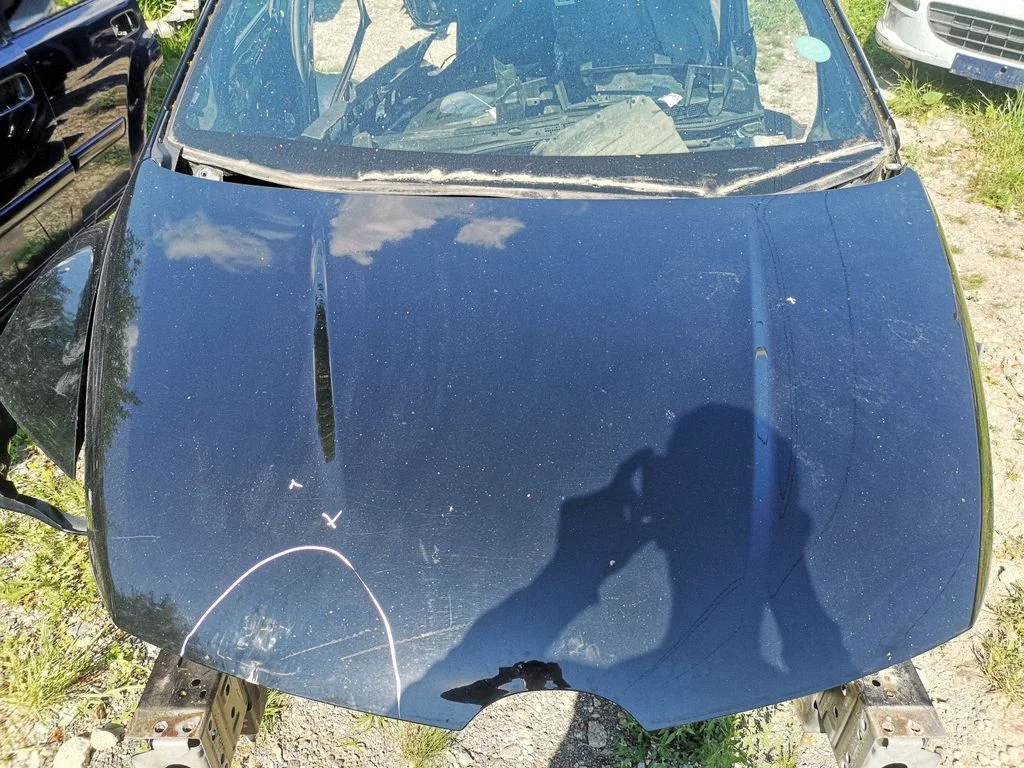 Engine bonnet/hood