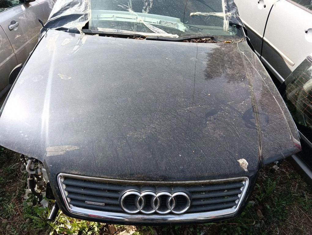 Engine bonnet/hood