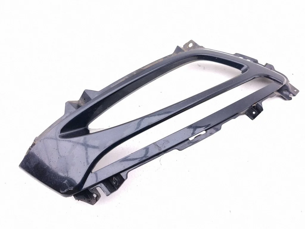 Front fog light trim/grill 865522t020