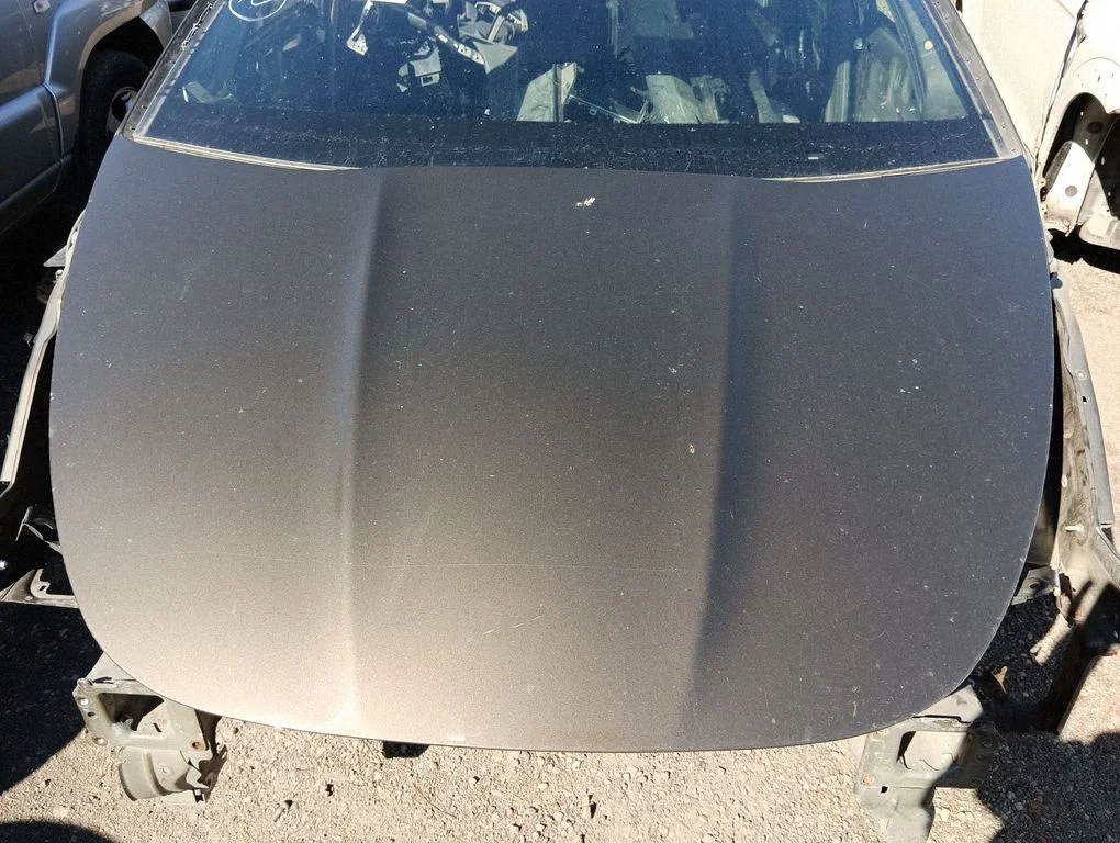 Engine bonnet/hood