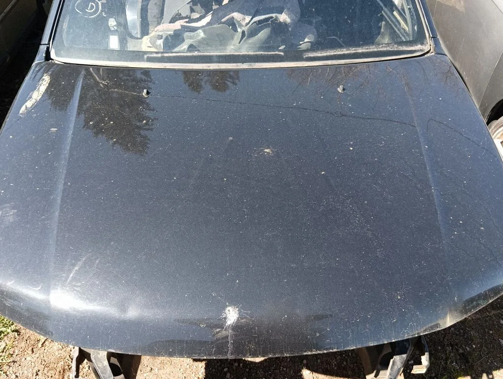 Engine bonnet/hood