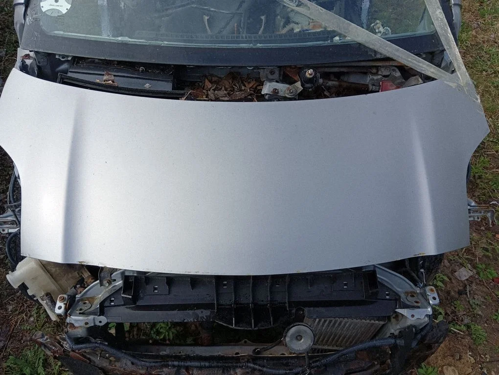 Engine bonnet/hood