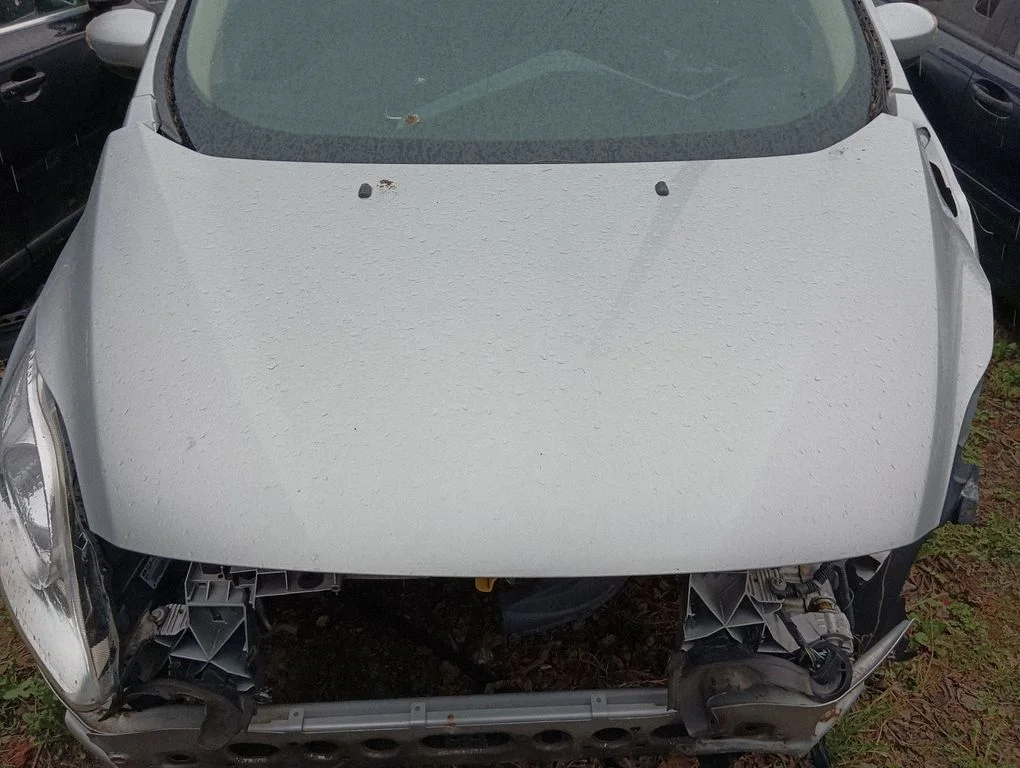 Engine bonnet/hood