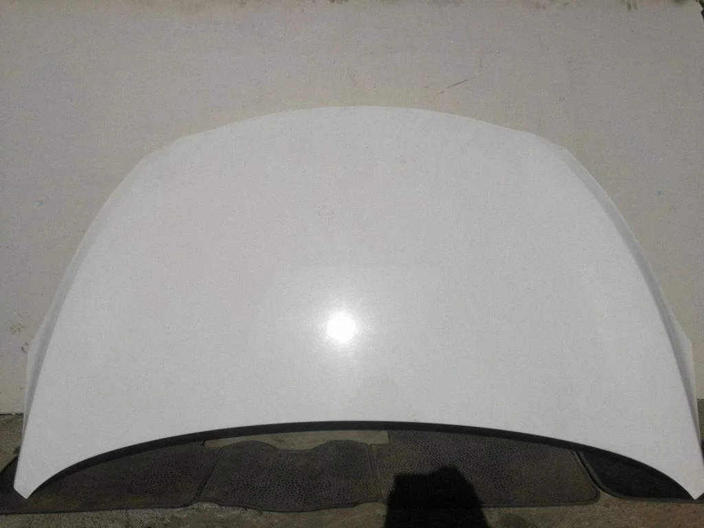 Engine bonnet/hood