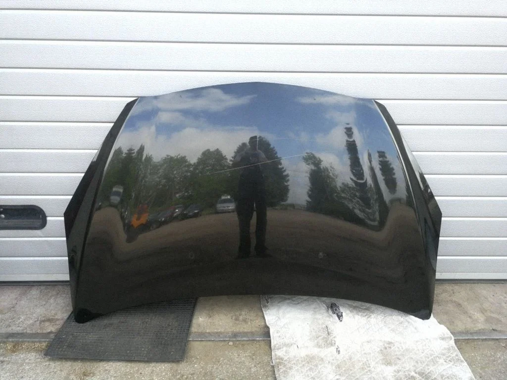 Engine bonnet/hood