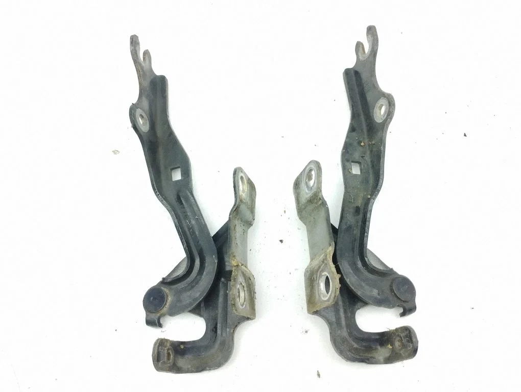 Engine bonnet/hood hinges