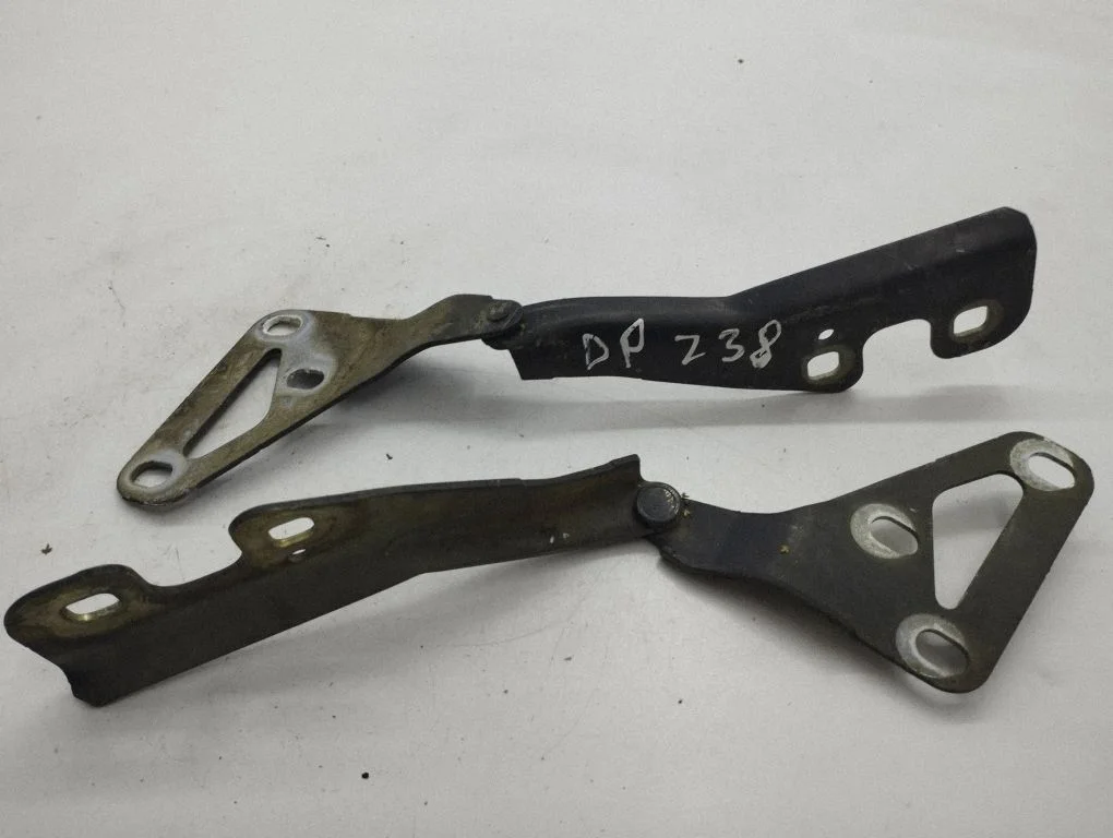 Engine bonnet/hood hinges 13195720