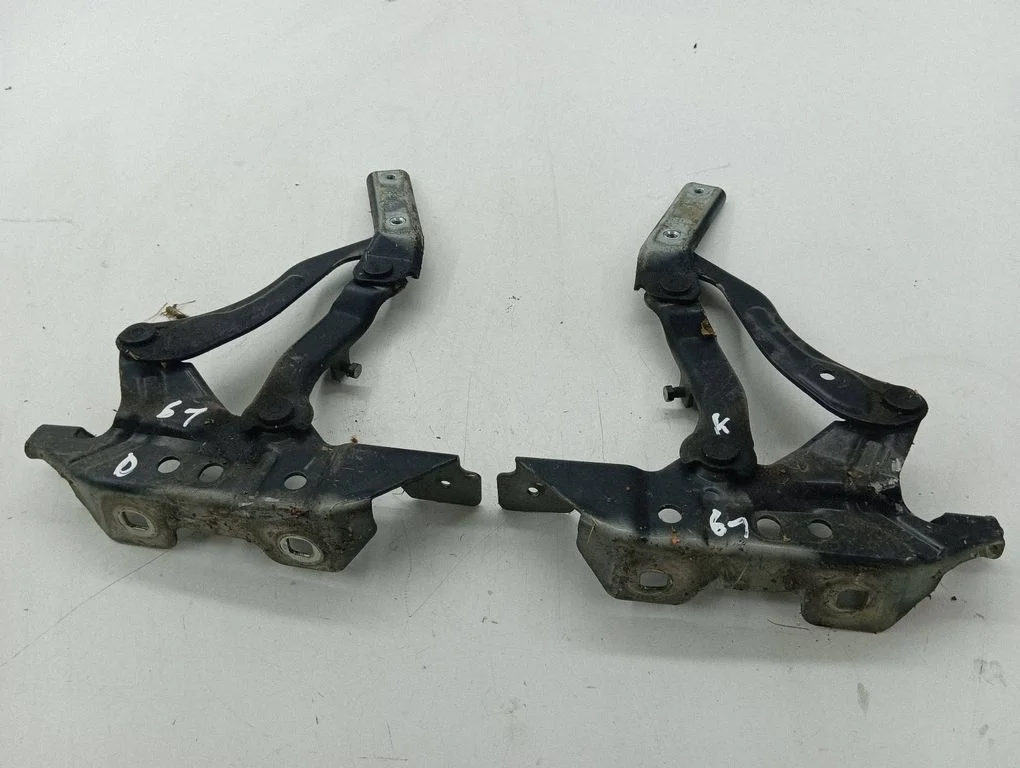 Engine bonnet/hood hinges