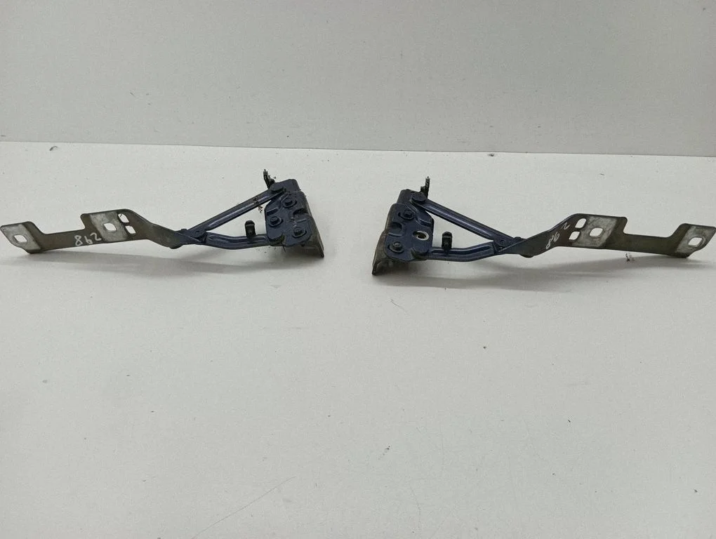 Engine bonnet/hood hinges 20879202