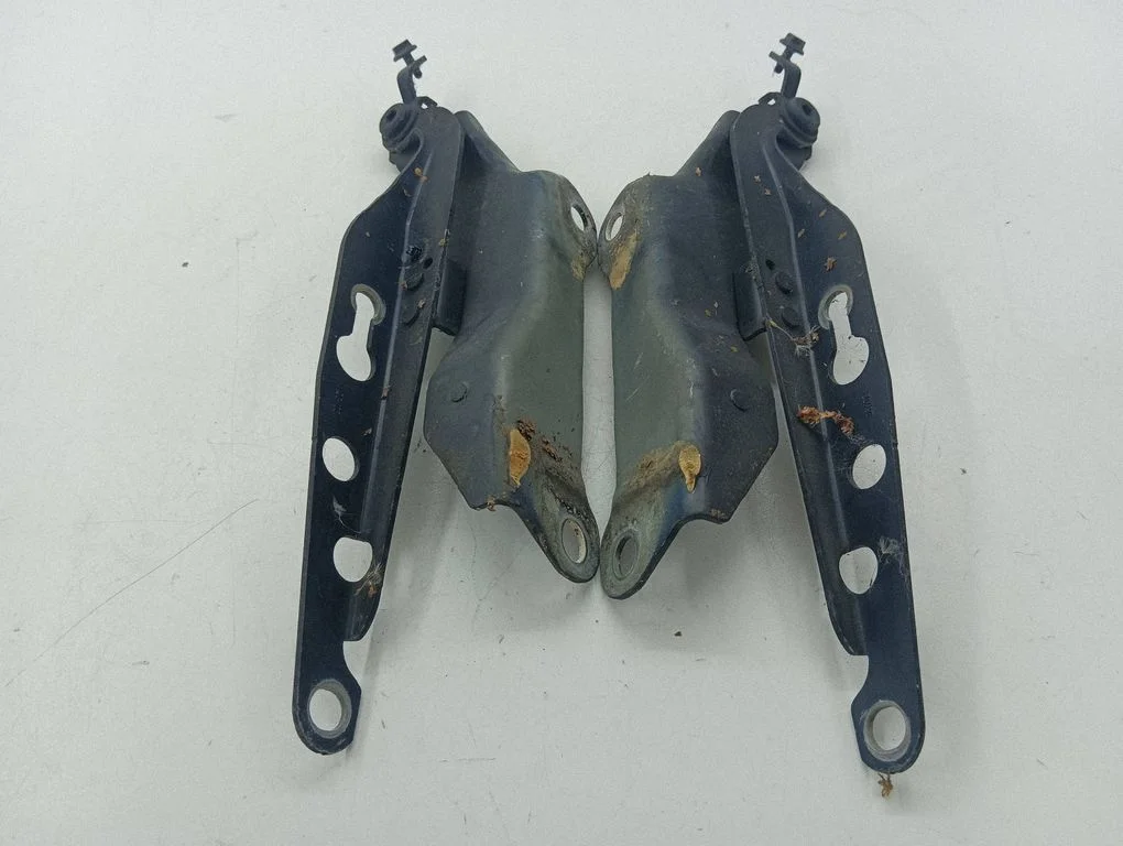 Engine bonnet/hood hinges