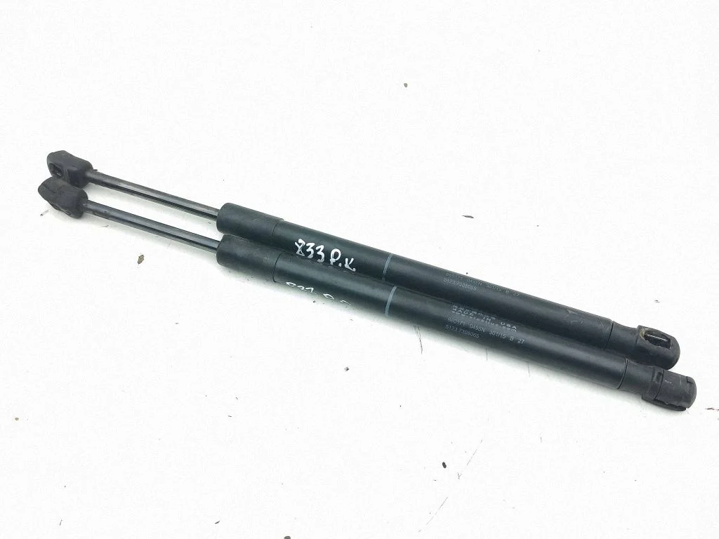 Front bonnet/hood damper/strut 860171