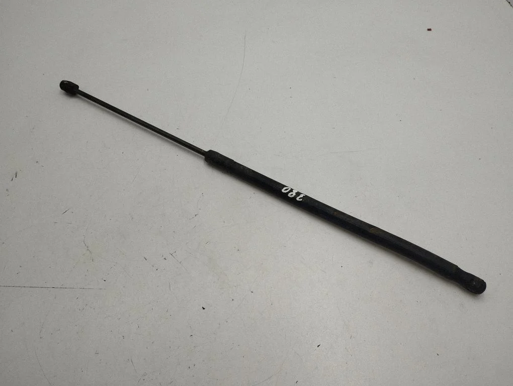 Front bonnet/hood damper/strut