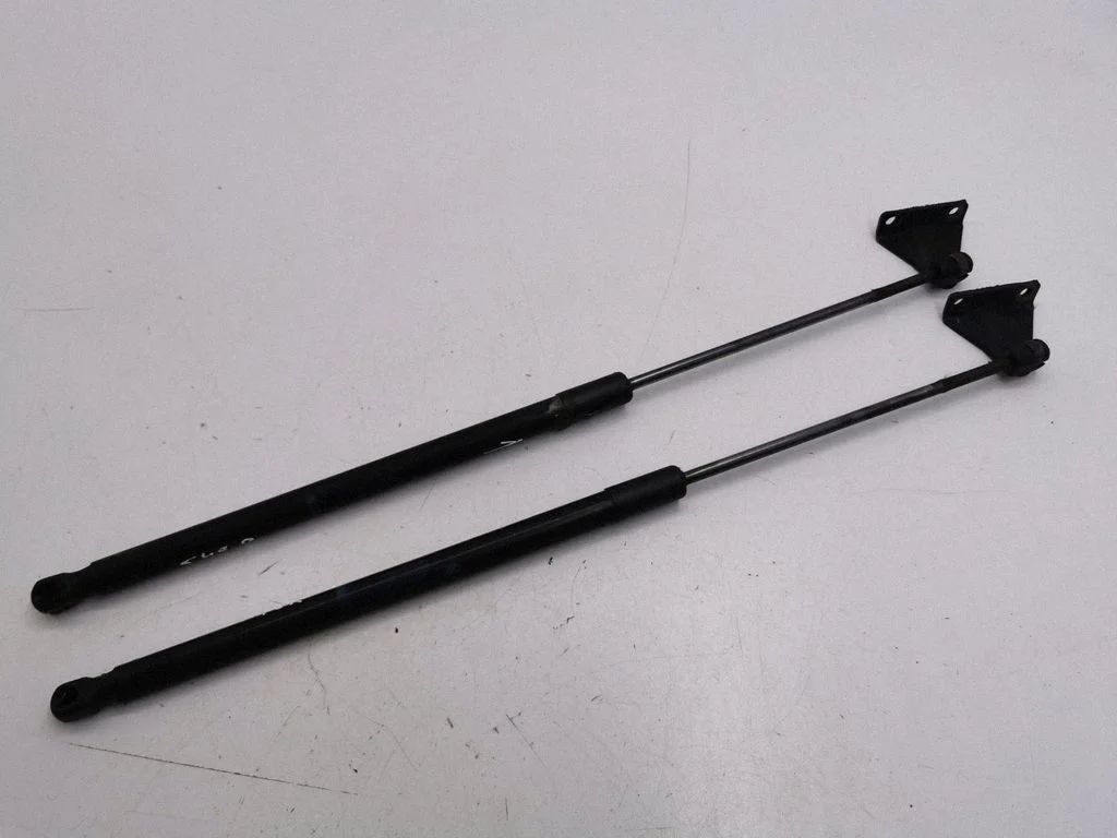 Front bonnet/hood damper/strut