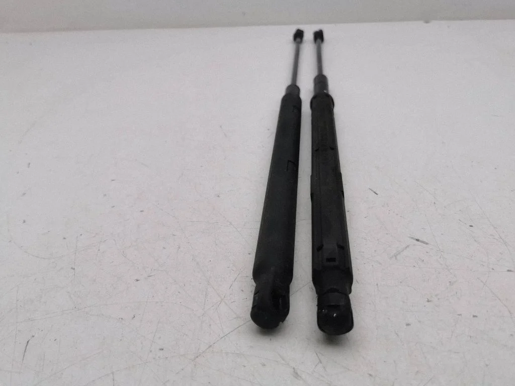 Front bonnet/hood damper/strut