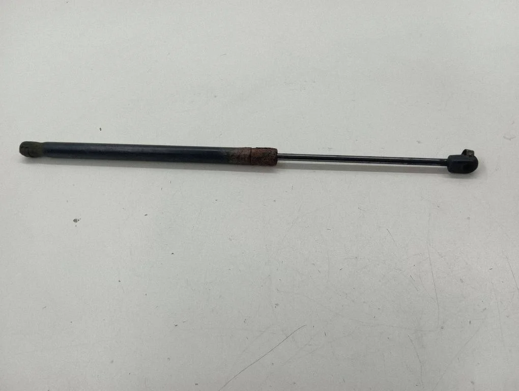 Front bonnet/hood damper/strut 15798003