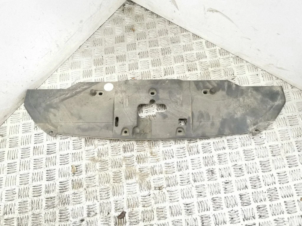Engine bonnet/hood lock trim molding