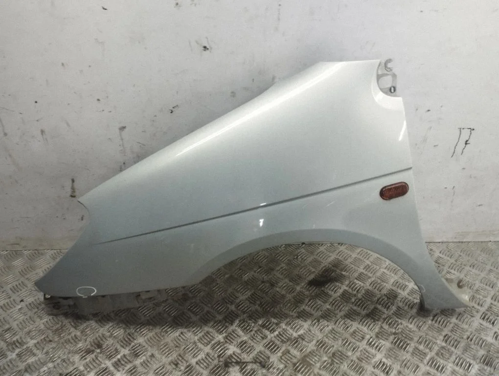 Fender – left
