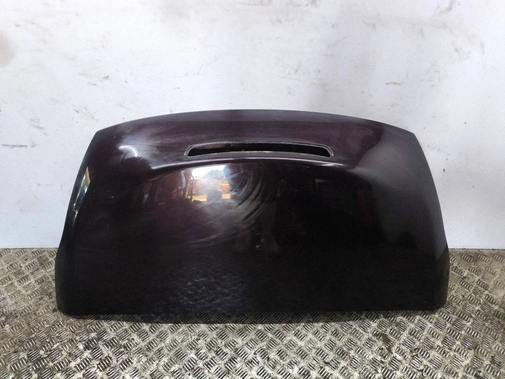 Tailgate/trunk/boot lid
