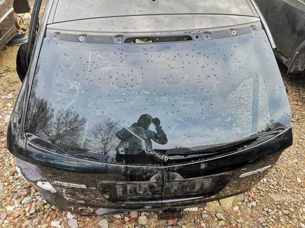 Tailgate/trunk/boot lid