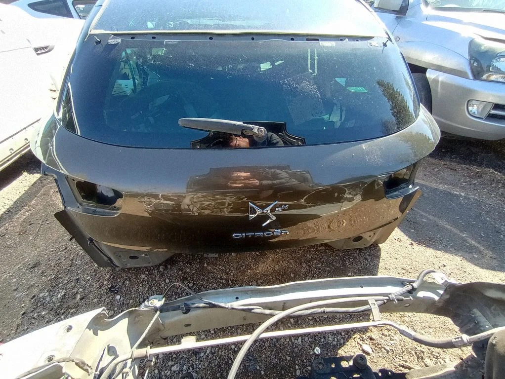 Tailgate/trunk/boot lid