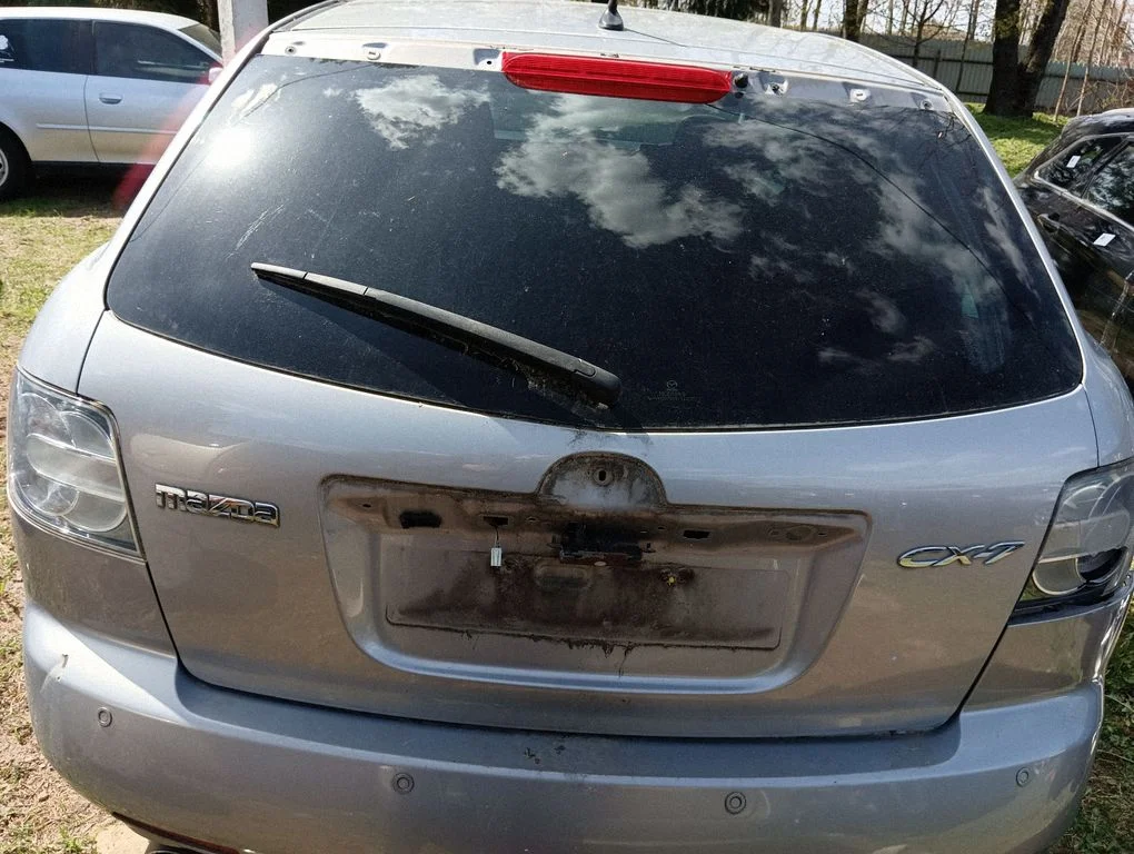 Tailgate/trunk/boot lid