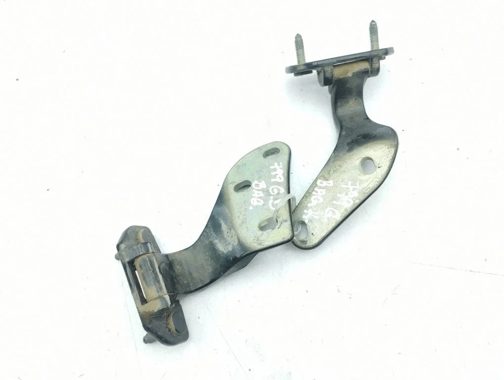 Tailgate/trunk/boot hinge