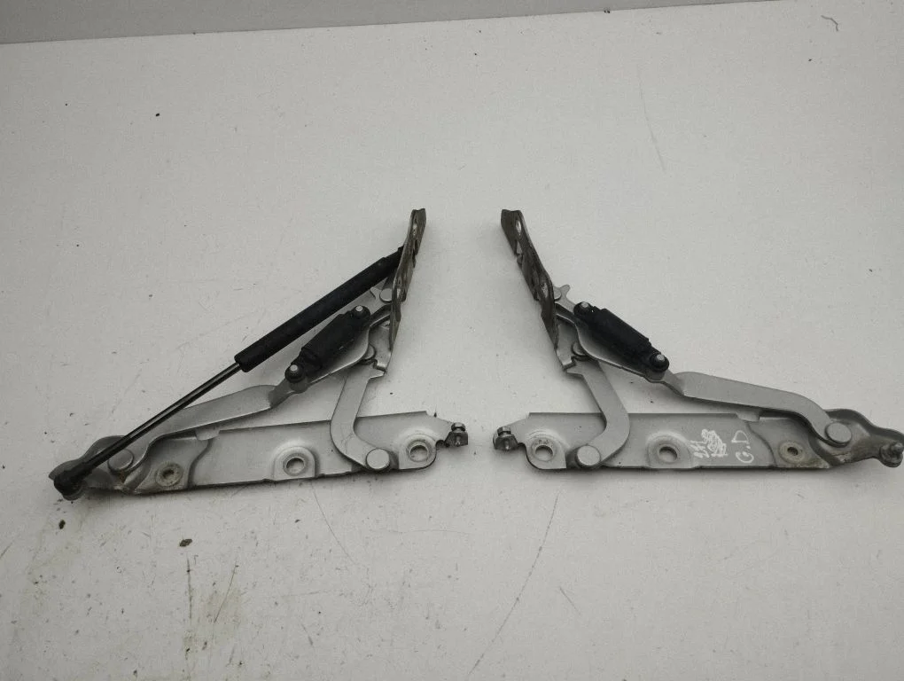 Tailgate/trunk/boot hinge