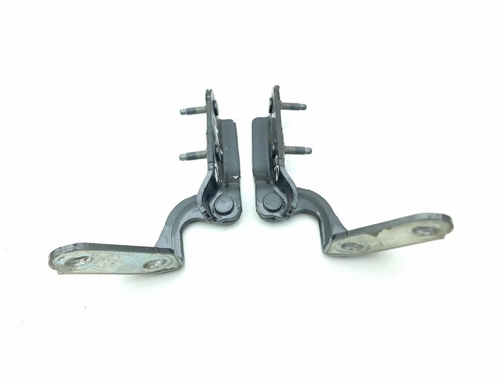 Tailgate/trunk/boot hinge