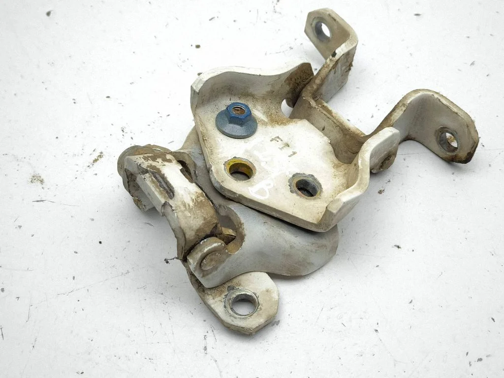 Tailgate/trunk/boot hinge
